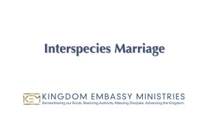 2022-12-16 | Joshua 23-24 | Interspecies Marriage