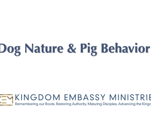 2025-07-11 | II Peter 2:20-22 | Dog Nature & Pig Behavior